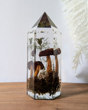 Load image into Gallery viewer, Large - Lanmaoa fallax w/ Citrine **Light Base Not Included

