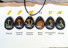 Load image into Gallery viewer, Tear Drop Necklace - Black
