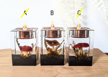 Load image into Gallery viewer, Medium Tea Light Candle Holders
