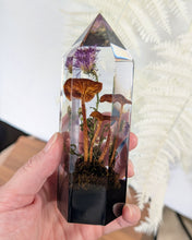 Load image into Gallery viewer, Medium - Ringless Honey Mushrooms
