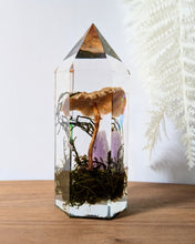 Load image into Gallery viewer, Large - Honey Mushroom w/ Amethyst &amp; Iridescence **Light Base Not Included
