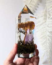 Load image into Gallery viewer, Large - Honey Mushroom w/ Amethyst &amp; Iridescence **Light Base Not Included
