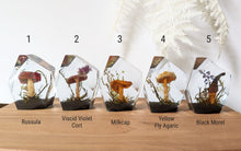 Load image into Gallery viewer, Small - Mushroom Crystals **Discounted**
