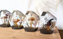 Load image into Gallery viewer, Small - Mushroom Crystals **Discounted**
