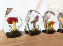 Load image into Gallery viewer, Small - Mushroom Crystals **Discounted**
