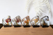 Load image into Gallery viewer, Small - Mushroom Crystals **Discounted**
