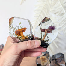 Load image into Gallery viewer, Small - Mushroom Crystals **Discounted**
