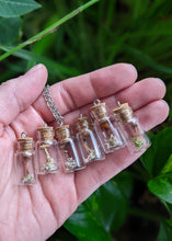 Load image into Gallery viewer, Mini Vial Necklace with Chain
