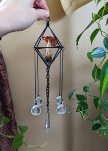 Russula - Cage Hang - Suncatcher