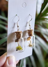 Load image into Gallery viewer, Mini Mushroom Vial Earrings
